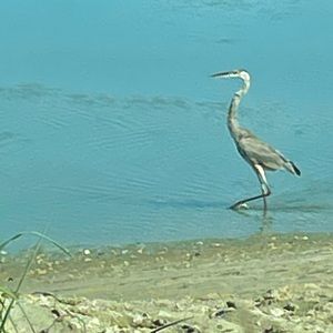 Meet your Posher, Steve